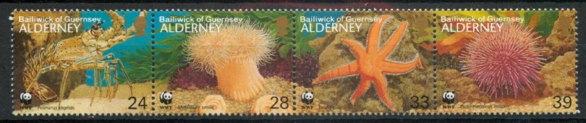 1993 Wwf Fauna Marina- Estrella Mar- Alderney (sellos) Mint