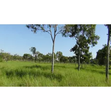 Se Vende Finca Puerto Carreño Vichada 