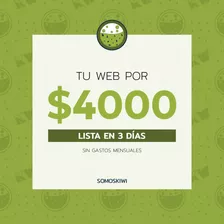 Pagina Web, En 3 Dias Economica - Precio Final! Diseño Web