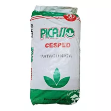 Semilla Cesped Pasto Picasso Patagonica X 25 Kg