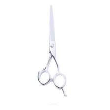 Tijera Ricco Para Peluquería 6.0 Pulgadas Microdentada R/104