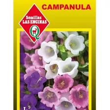 Semillas De Campánula