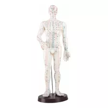 Muñeco De Acupuntura 50cm Modelo Hombre-lima-lince (250.00)