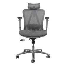 Silla Ejecutiva Respaldo Y Brazos Ajustables Deluxe Gris