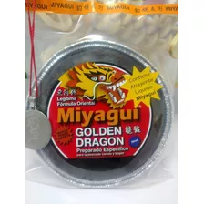 Masa De Pesca Miyagui Golden Dragon 