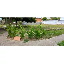 Terreno En Venta En Lomas De La Lagunita