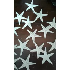 Estrelas Do Mar 7cm 15 Peças