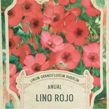 Pack Semillas Lino Rojo Anual Grandiflora X 80 Semillas
