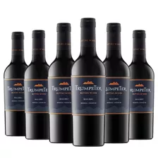 Vino Trumpeter Malbec 375ml Tinto Rutini Wines - Pack X 6u