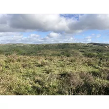 Punto Río | Chacras Ecológicas Desde 5 Hectáreas En La Sierras De Rocha