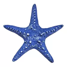 Estrela Do Mar Resina P/ Pendurar Parede Pousada Praia 20cm