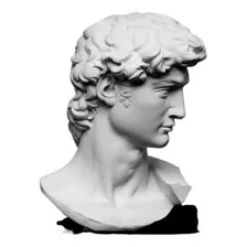 Escultura Estatua Cabeça Busto David De Michelangelo