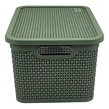 Caja Organizadora Simil Rattan Grande 15 Lts. Garageimpo Color Verde Oscuro Liso