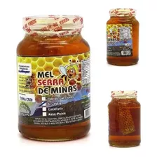 02 Potes Mel Serra De Minas Com Favo Abelhas Premium 750g