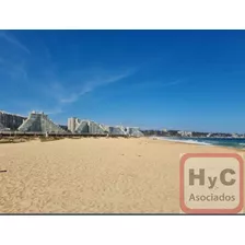 Agrícola En Venta En Algarrobo