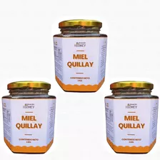 Miel De Abejas. Quillay. Pack 3 Kgs. Estación H2oney