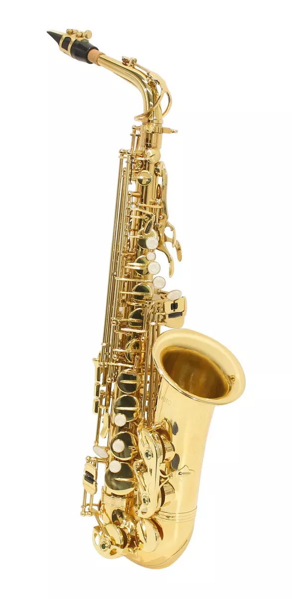 Saxofone Alto Laqueado Eb Custom Com Case