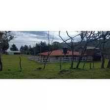 Venta De Finca En Moniquira Santander