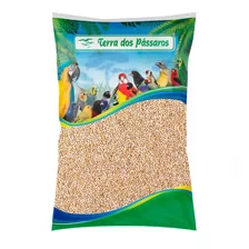 Semente De Painço - 5 Kg