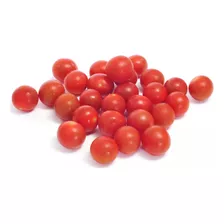 Tomate Cherry Hidroponico