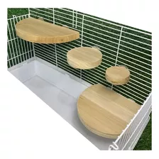 Set De Perchas De Madera Circulos Para Pajaros Loros Pericos