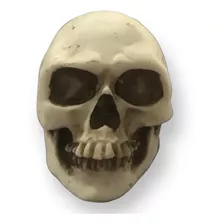 Mini Caveira Boneco Decoração Cranio 