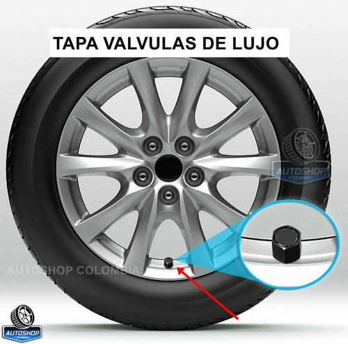 Tapa Valvulas De Lujo Fiat + Llavero Foto 5