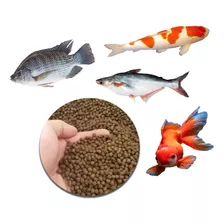 Ração Para Carpas E Outros Peixes De Grande Porte - 5 Kgs