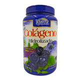 Suplemento En Polvo Ypenza  ColÃ¡geno Hidrolizado Sabor Blueberry En Pote De 1.1kg
