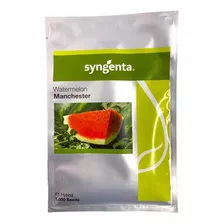 Syngenta Sementes De Melancia Híbrida Manchester 1.000