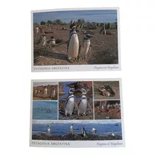 Lote 2 Postales Patagonia Argentina Pingüinos Sin Uso