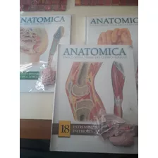 Enciclopedia Del Cuerpo Humano Anatomica