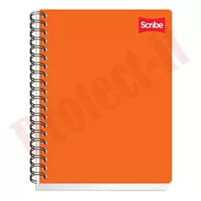 Cuaderno Profesional Scribe 200 Hojas 5 Divisiones Doble Esp