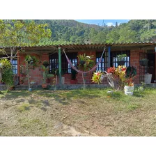 Oportunidad De Inversion Se Vende Finca En Restrepo Valle Del Cauca