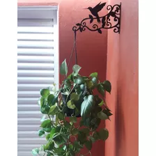 Suporte Para Plantas