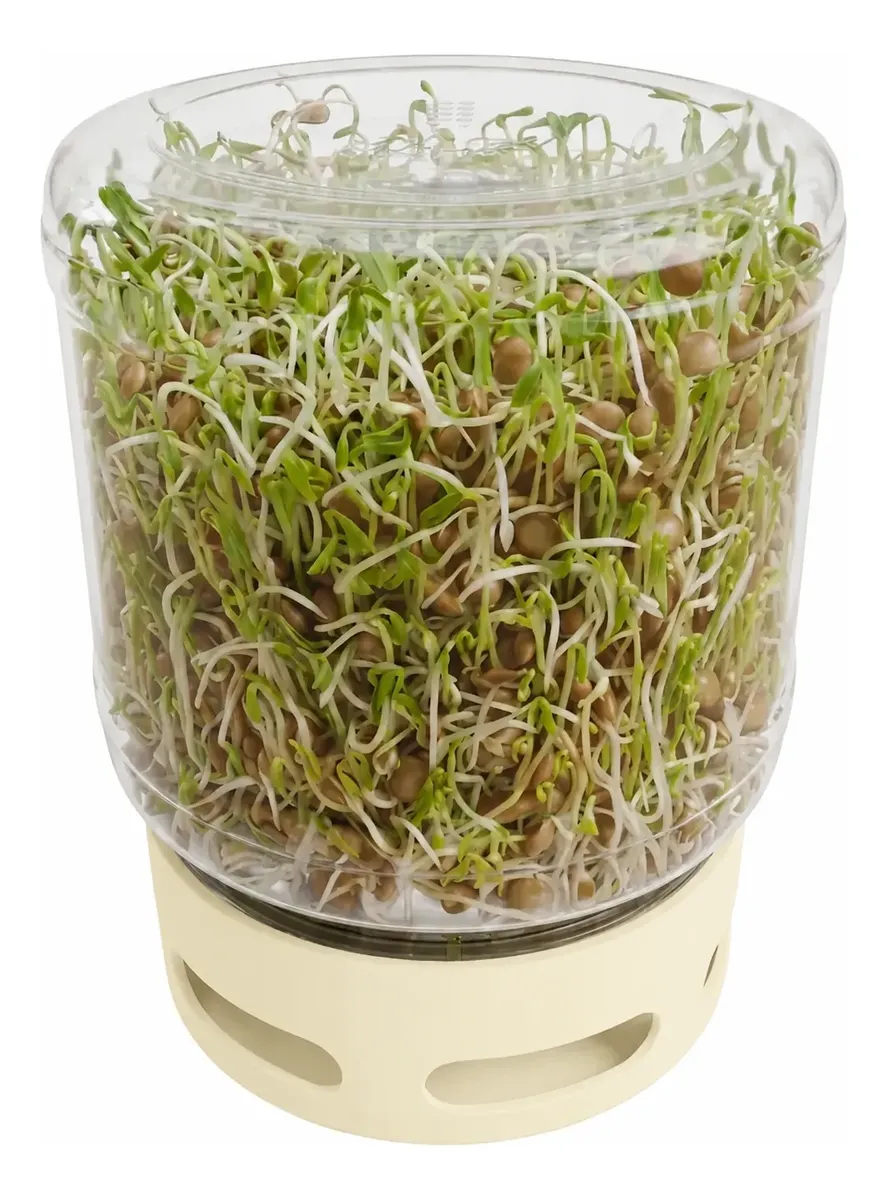 Germinador de brotes