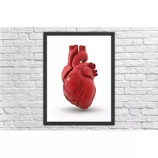 Quadro Decorativo Medicina Médicos Cardiologia Coração Ff 
