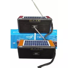 Radio Panel Solar Inova Ra-012 Inalambrico Usb Fm Portatil