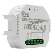 Relay Tiempo Inteligente Gralf Wifi 1 Canal Llave Externa