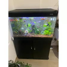 Acuario Curvo Importado 140 L Con Mueble, Peces Y Plantas