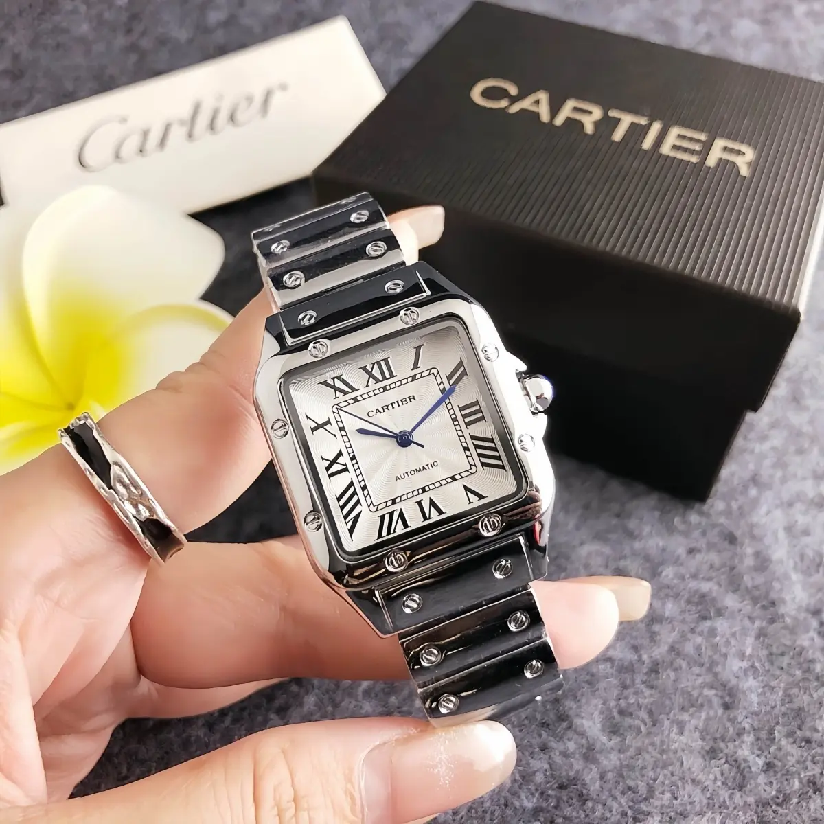 Terceira imagem para pesquisa de cartier