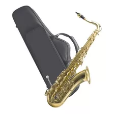 Saxofone Tenor Bb Harmonics Hts-100l Laqueado Com Case