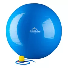 Pelota De Equilibrio 65cm De 2000lbs Color Azul Con Bomba,