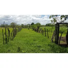 Te Vendo Hermosa Finca En Esperanza Provincia Valverde.