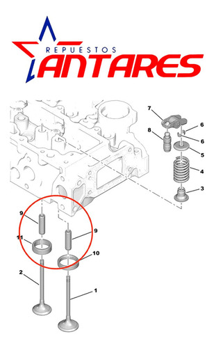 Guia Valvula Para Citroen C3 1.4 2002 2005 C2 2003-09 Set 8 Foto 4