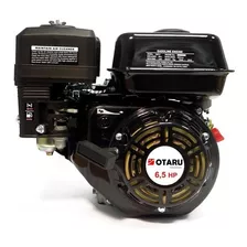 Motor Multipropósito A Gasolina Nitro 7hp