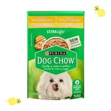 15 Sachês Alimento Úmido Dog Chow Adulto Mini P Frango 100g