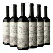 Saint Felicien Cabernet Franc 6x750cc Caja X6 Catena Zapata