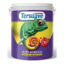 Pintura Interior Exterior Tersuave Lavable Anti Hongo 10 Lts