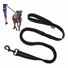 Correa Reflectante Para Perros De 1.3 Mts Colores Variados